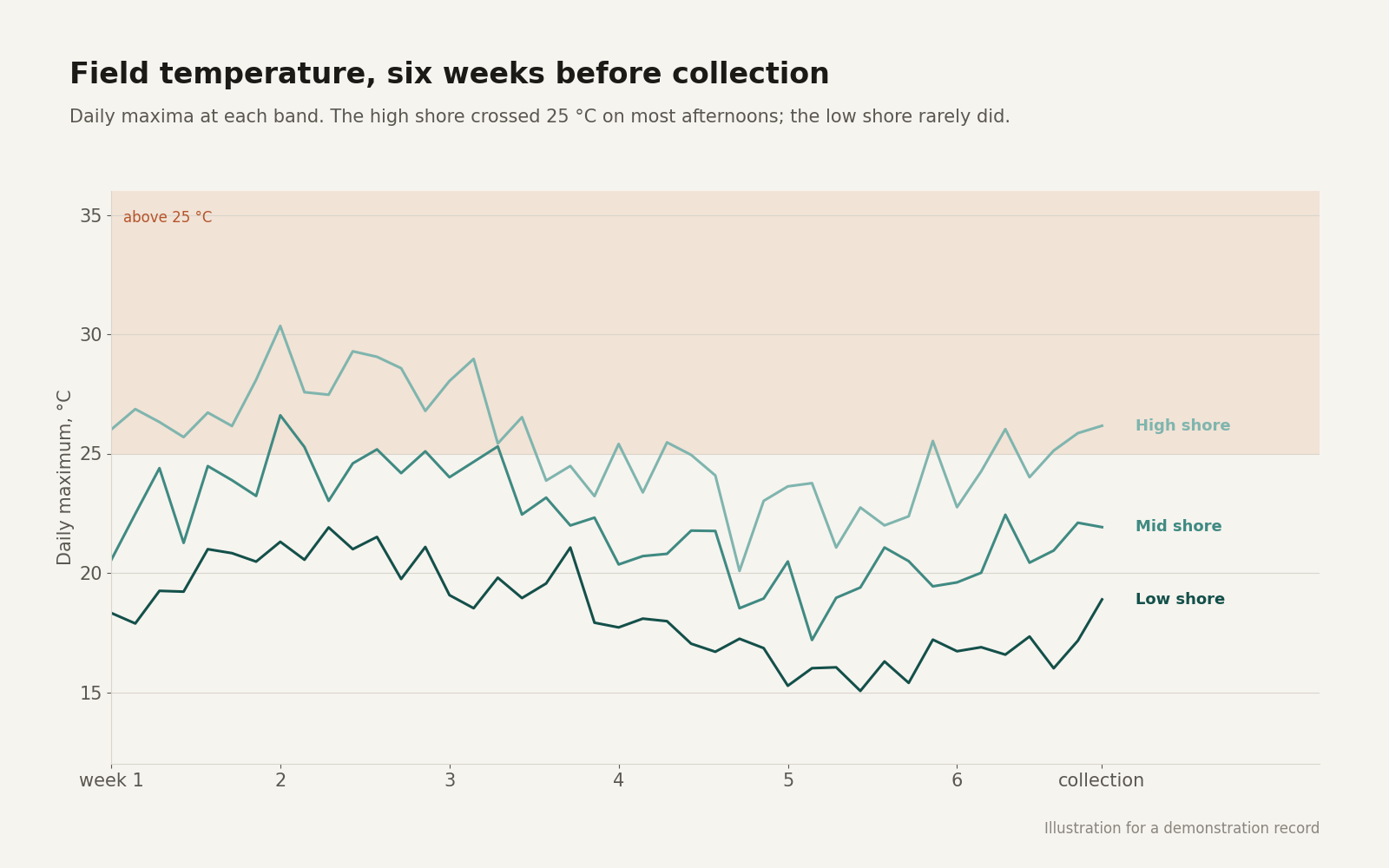 Line chart of daily maximum temperature over six weeks for the high, mid and low shore bands